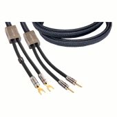 Clarus Cable - CASP - Aqua MK II Speaker Cables - Spade, Banana