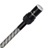 WireWorld - Micro-Platinum Eclipse 10 (PET) - Tonearm Cable