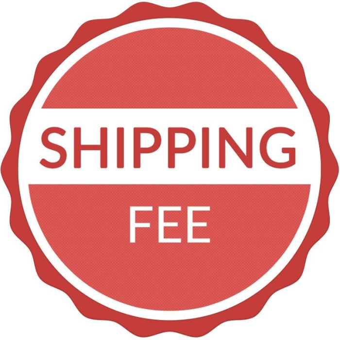 Expedited Shipping Charge (Two-Day) - SolidDrive Custom Order 