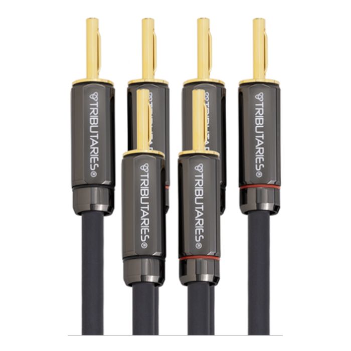 Tributaries - 6BW - Series 6 Mark II Bi-Wire Speaker Cables - 2 x Banana to 4 x Banana