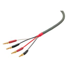 straight-wire-chorus-ii-