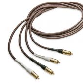 Analysis Plus - Chocolate Oval-In - RCA Interconnects