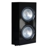RBH - Nemesis Mk II - Dual 12" Active Subwoofer Module