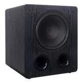 ToneWinner - SW-D1000 - 200W 10" Ported Active Subwoofer - Angle