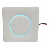 Vanguard Dynamics - VAIL Amp 3 - In-Wall Stereo Amp for Echo Dot 3 - Illuminated