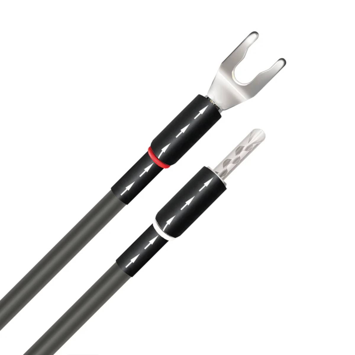 WireWorld - JUMPOAS - Oasis 10 Jumper Wires